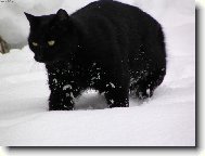 hurá, je tu sníh !!!!!