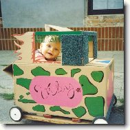 Vik, malý cestovatel