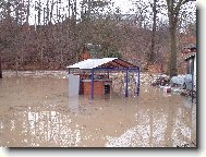 Chudák pejsánek :'(