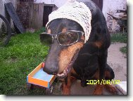 to je ale frája co???