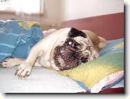 V peřinách je nejlíp  :)))