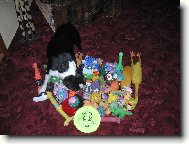 Najdeš mě v mém království?