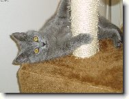 Klidně si mě vyblejskni :)