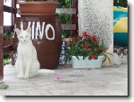 je nás tu víc.....