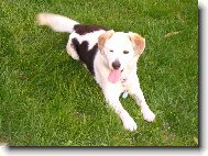 Naše Terinka ,která je moc hodná