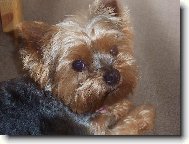 Můj roztomilej Matýsek