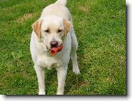 Nemá ráda prázdnou tlamku