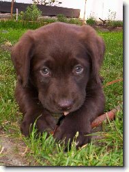 Dokážu se tvářit i jako neviňátko.:-)