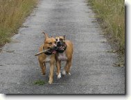 Ve dvou se to táhne líp