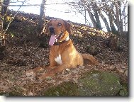 Sakriš,mám lízák až na vestě...:-)