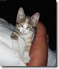 Já se nechci fotit!