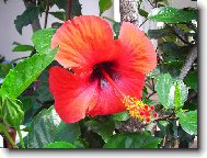 červená mi sluší