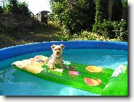 to vedro se neda vydržet........