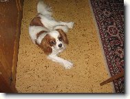 Tady jsem doma a tady je mi nejlépe