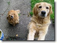 Úsměv! Vyletí šunka.