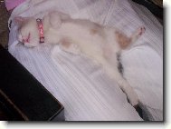 A takhle spinkáme. :-)