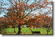 podzim-kouzelný malíř