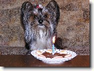 Náš Jerry a jeho narozeniny