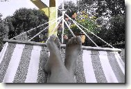 Letní pohodička...