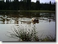 Pořád plavát-to je paráda