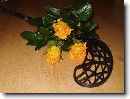 nejkrásnější dárek k narozeninám:)