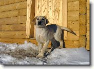 Chaloupka je zavřená