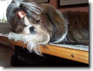 Jsem trošku unavená