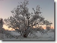 Krása uhlířského vrchu 8.1.2006