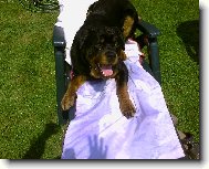 zkouška pevnosti :-)