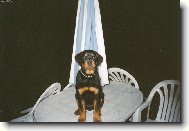 Argoušek pózuje :-)