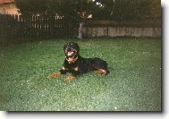 Áda nám pózuje ...