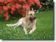 Nejfotogeničtější člen naší rodiny