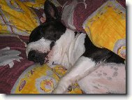 Odpočinek po namáhavé práci