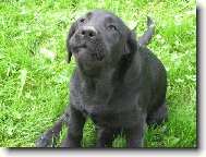 Ležím nebo běžím?