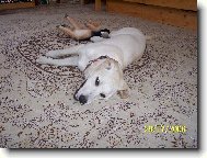 To vedro mě nějak zmohlo!