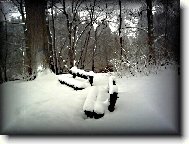 ČEKÁNÍ NA JARNÍ LÁSKY