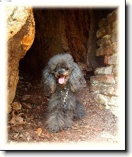 ...radši se schovám do stínu...