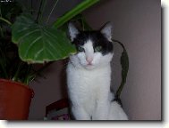 mám rád výšky a kytky