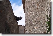 Jsem prostě zvědavý