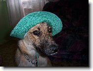 Růženka je opravdu dáma