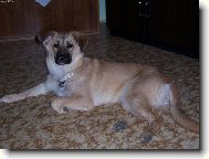 ještě jednou bez ozdob