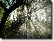 Náhle se mi rozjasnilo...