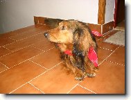 Tak jdeme na tu procházku ?