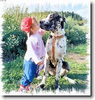 Malá pusa po výcviku