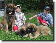 Prázdninová pohoda