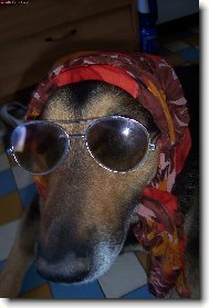 a ted se můžu slunit