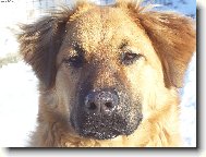 Tak to jsem já, KUK!!! :-)