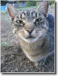 Kde mám ty brýle...