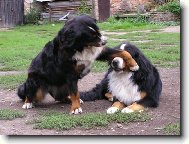 Nekoukoukej se na mě!!!