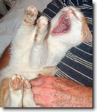 Jééééé,to je blaho